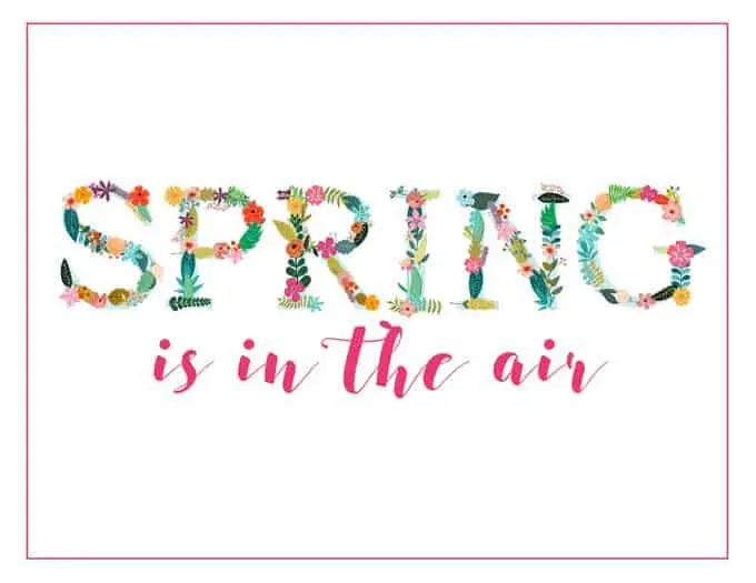 spring is in the air graphic with flowers