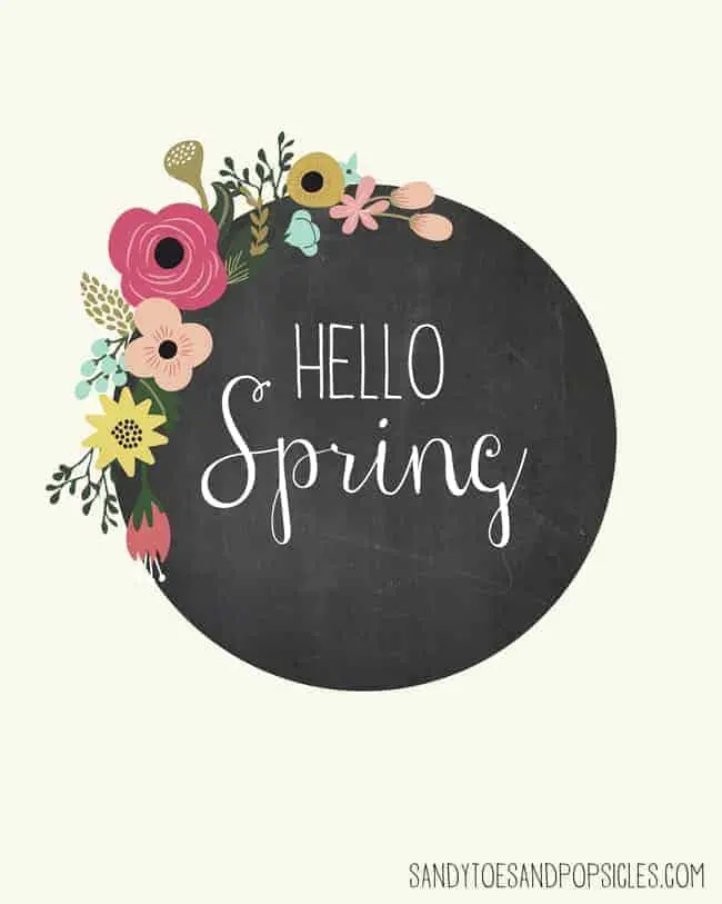 hello spring chalkboard with flowers graphic