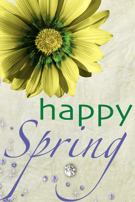 happy spring graphic with yellow daisy and diamonds