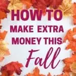 autumnal colored leaves scattered on a white background with title text "How to Make Extra Money this Fall"