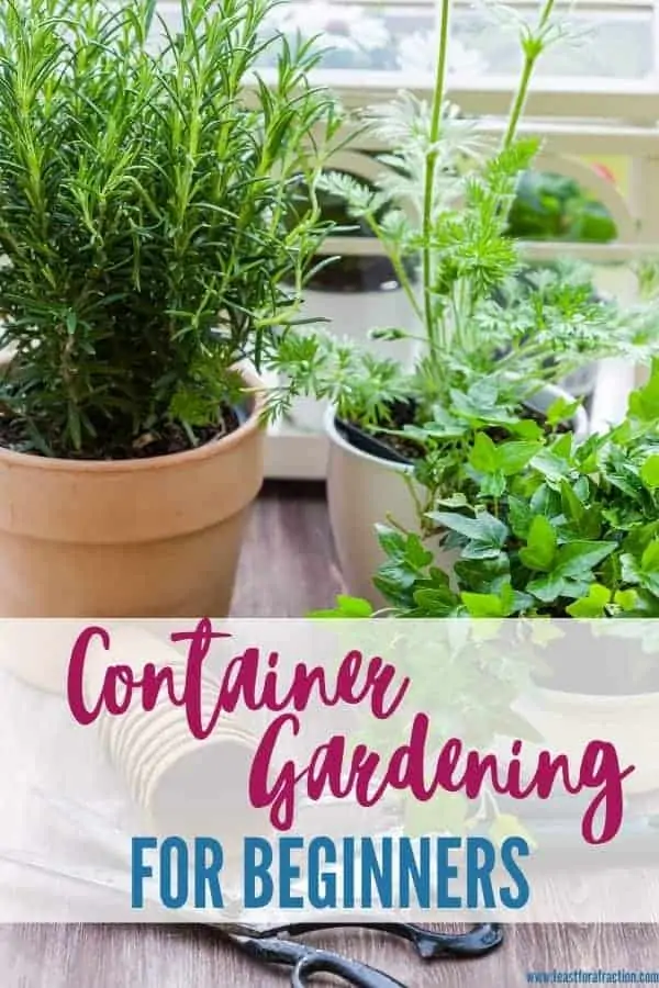 potting containers filled with herbs and flowers with title text "container gardening for beginners"