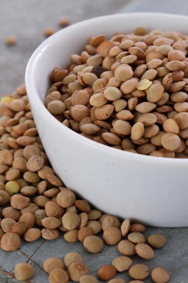 Instant Pot Lentil Soup Recipe Feast for a Fraction