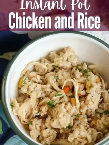 white bowl filled with chicken and rice with title text "instant pot chicken and rice"