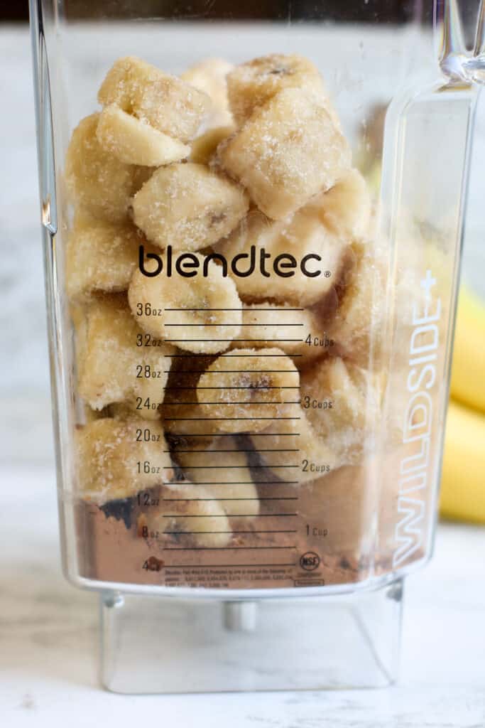 Dairy Free Chocolate Peanut Butter Ice Cream