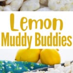 collage of lemon puppy chow with title text