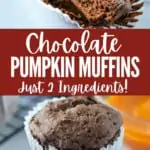 collage of chocolate pumpkin muffins with title text