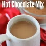 hot chocolate in mug with title text "Homemade Hot Chocolate Mix"