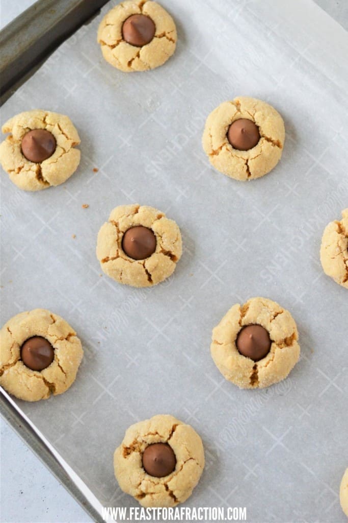 overhead view of peanut butter blossom cookies on sheet pan lined with parchment paper