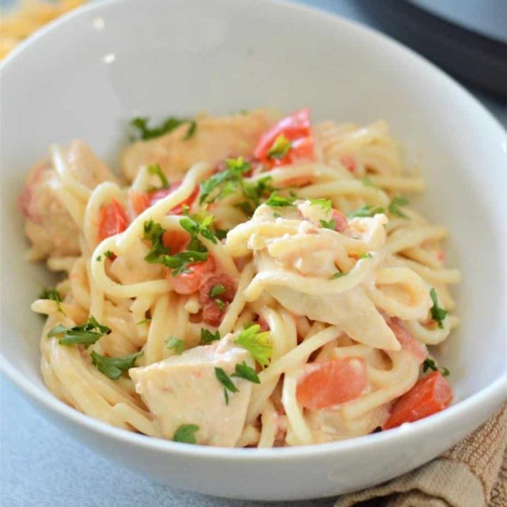 instant pot chicken spaghetti in white bowl garnished with chopped parsley