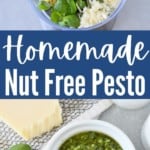 collage of homemade pesto ingredients and prepared nut free pesto