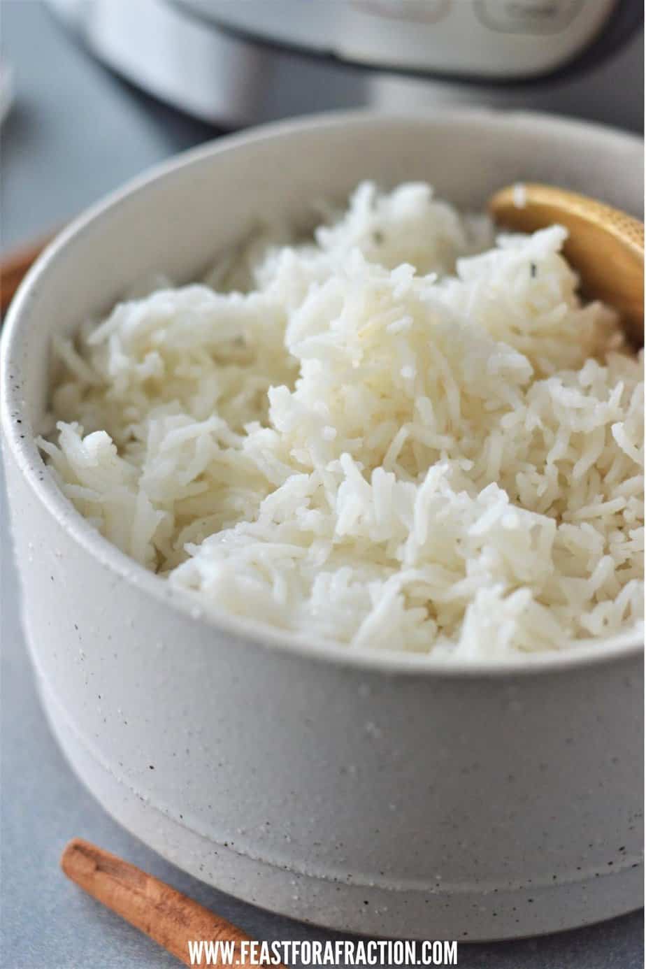 Instant Pot Basmati Rice Feast for a Fraction