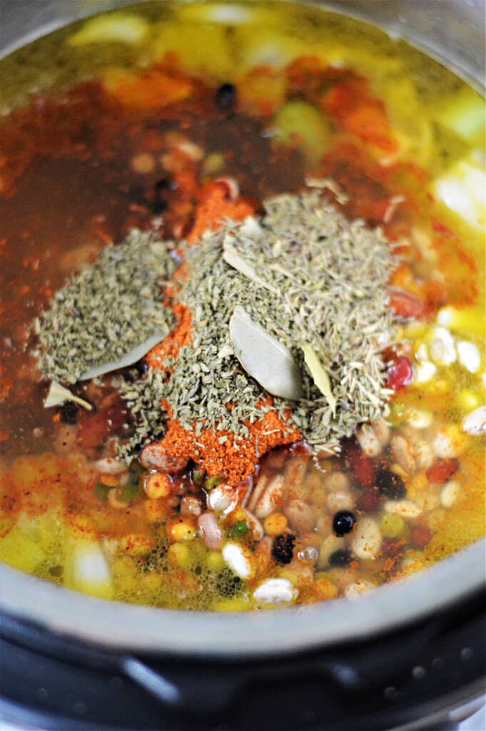 seasoning in soup in instant pot