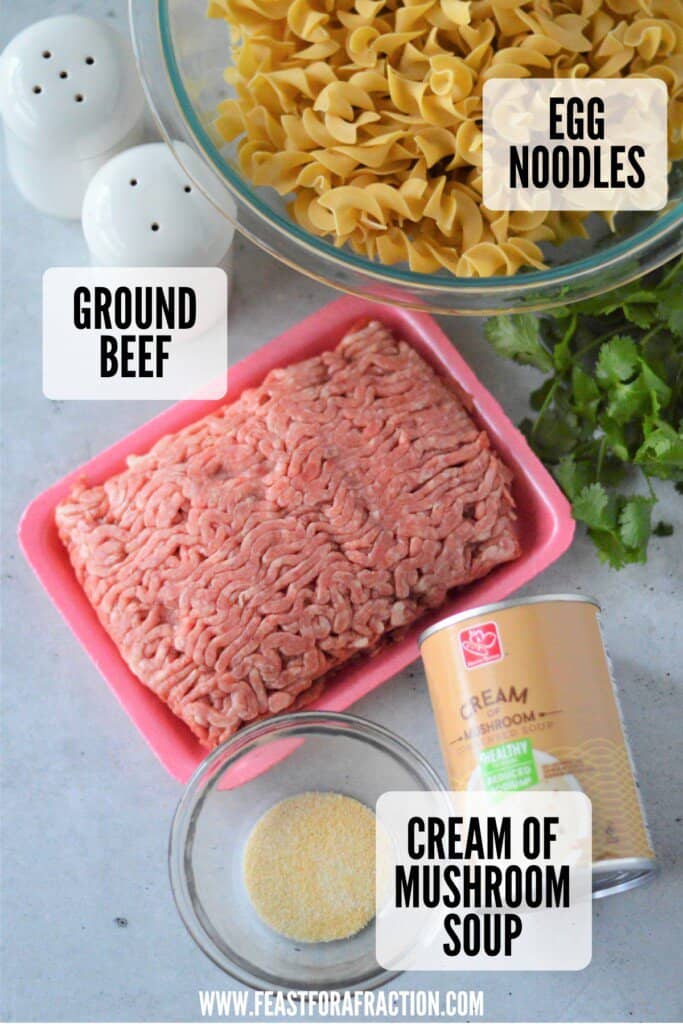 ingredients for beef stroganoff: ground beef, egg noodles, cream of mushroom soup, onion powder, garlic powder