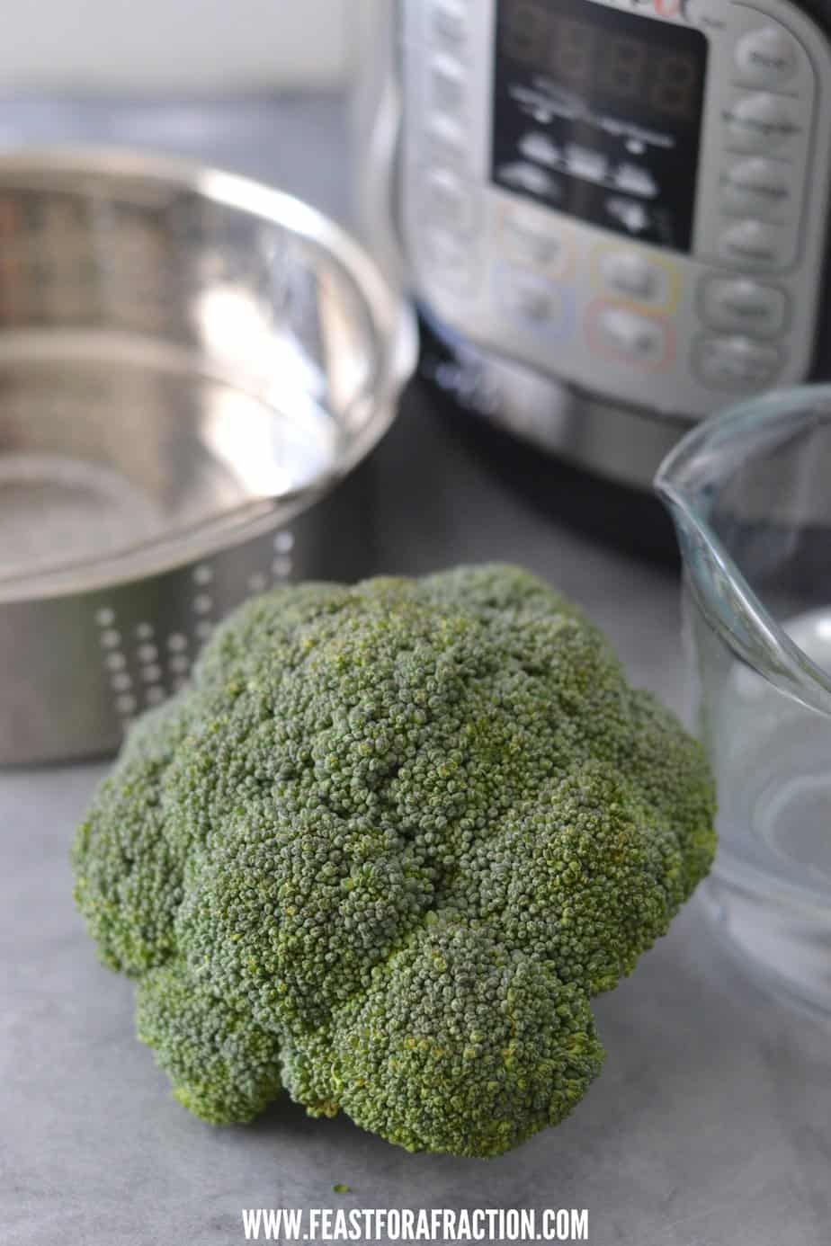 How to Cook Perfectly Steamed Broccoli in Instant Pot Feast for a